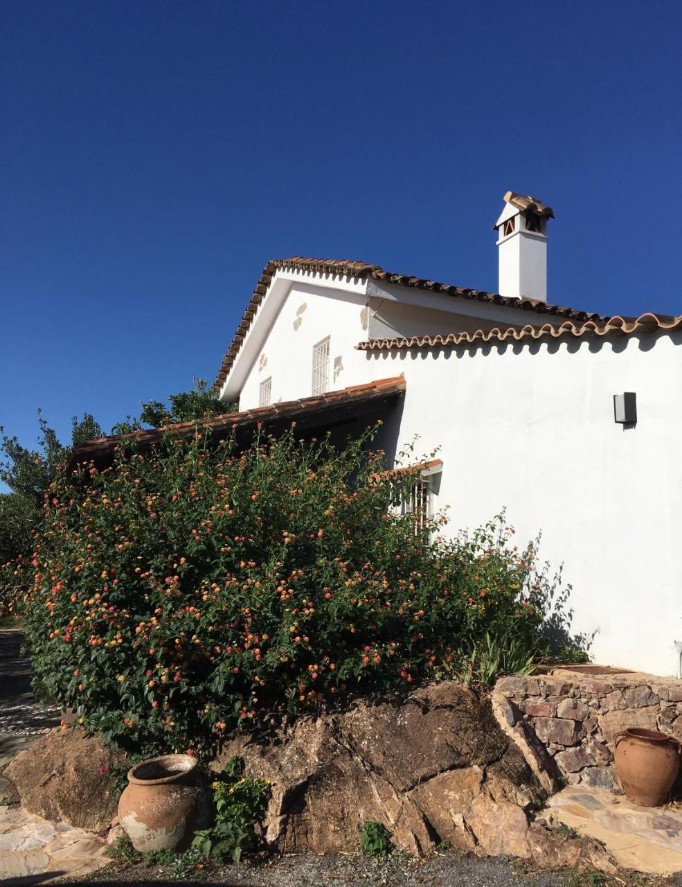 Finca Horno De Cal Аракена Екстериор снимка