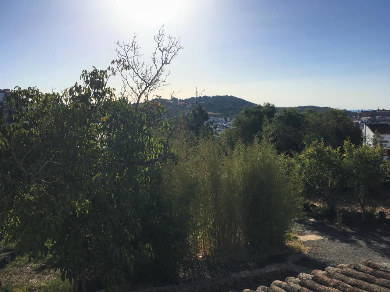 Finca Horno De Cal Аракена Екстериор снимка